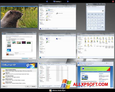 Petikan skrin Dexpot untuk Windows XP