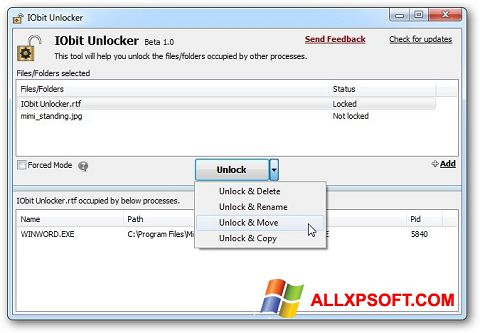 Petikan skrin IObit Unlocker untuk Windows XP