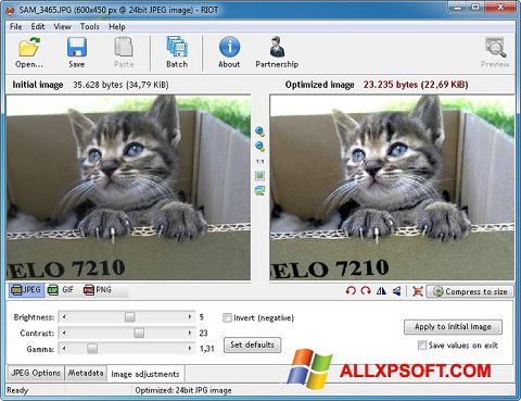 Petikan skrin RIOT untuk Windows XP